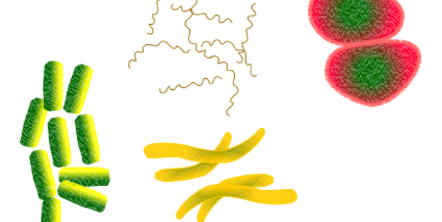 bacteria-1450088_640